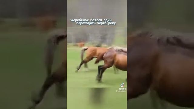 Поддержка близких придаёт силы и уверенности смотреть онлайн