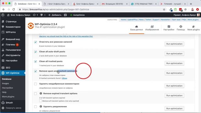 Как настроить плагин WP-Optimize на сайте WordPress для уменьшения размера базы данных смотреть онлайн