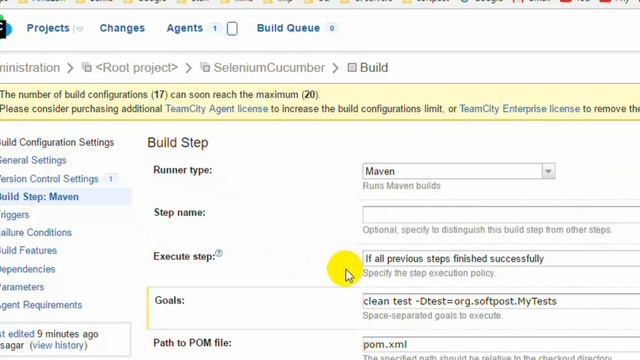 Lecture 17 : Running Cucumber Selenium tests in Java on TeamCity Server смотреть онлайн
