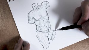 УРОКИ РИСОВАНИЯ! КАК НАРИСОВАТЬ АНАТОМИЮ ТЕЛА
