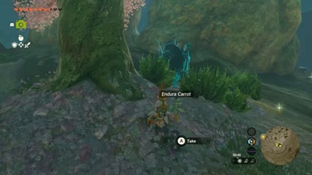 Where To Find Endura Carrot In Legend Of Zelda Tears Of The Kingdom смотреть онлайн