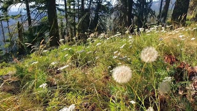 Intro to R: Part 4, Nesting Functions смотреть онлайн