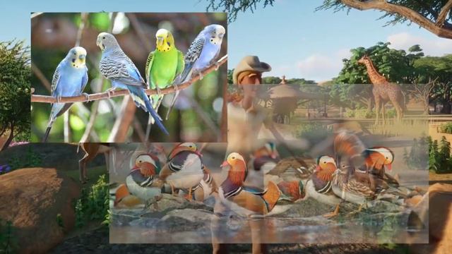 What Do MODDERS Want for Planet Zoo? смотреть онлайн
