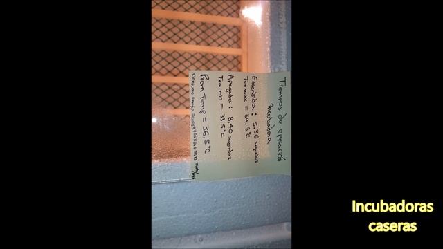 Cómo hice mi incubadora casera automática . смотреть онлайн
