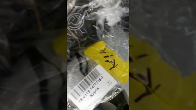 Деловые линии Москва курск 555р доставка куска бумаги в 20гр смотреть онлайн