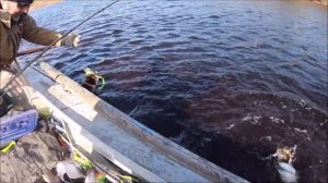 Щуки... Монстры Ямала! Часть 3. Где живут Монстры