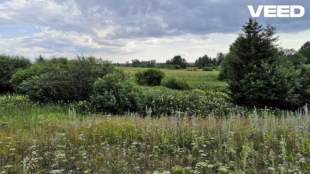 Seksihullut - Facebookissa