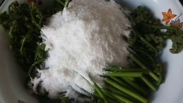 Интересные Факты о Животных