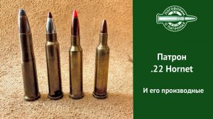 Патрон 22 hornet
