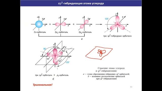 Оганов Руслан. Лекция 0. Физико Химические основы биохимии. смотреть онлайн