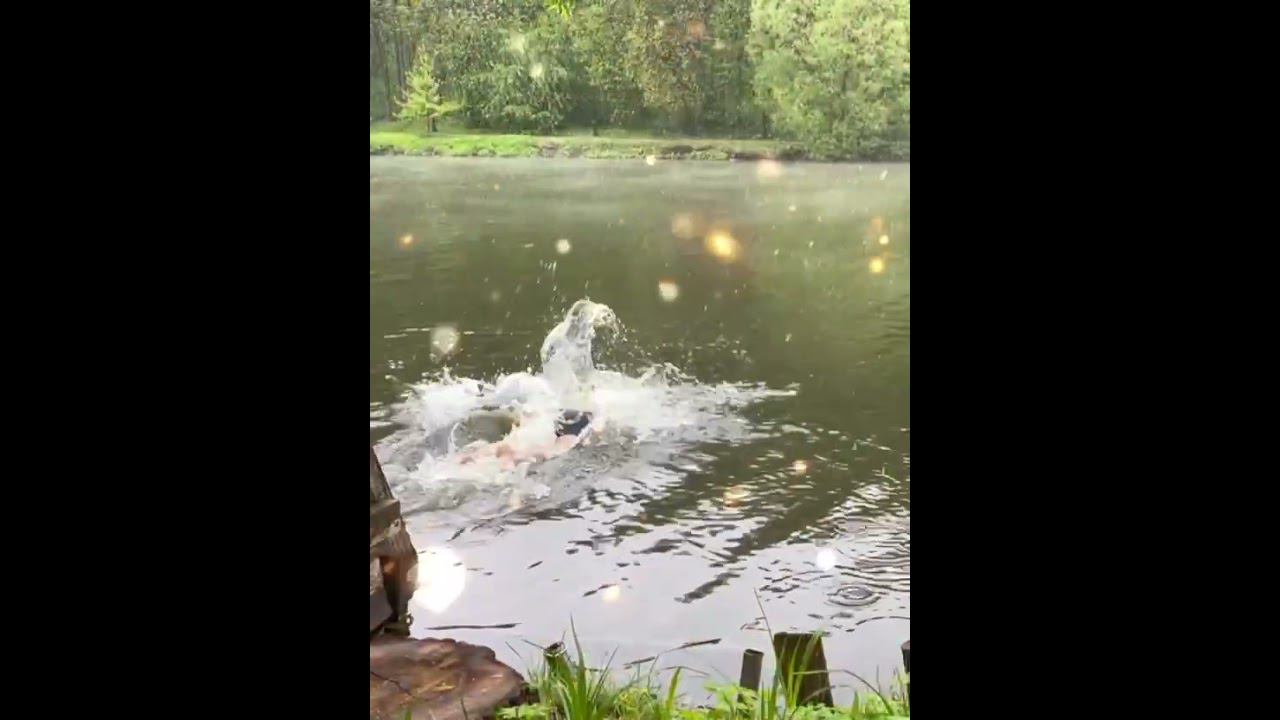 #плавание #зож #тренировки #закаливание #спорт смотреть онлайн