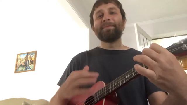 Summertime- a Teenage Bottlerocket ukulele cover смотреть онлайн