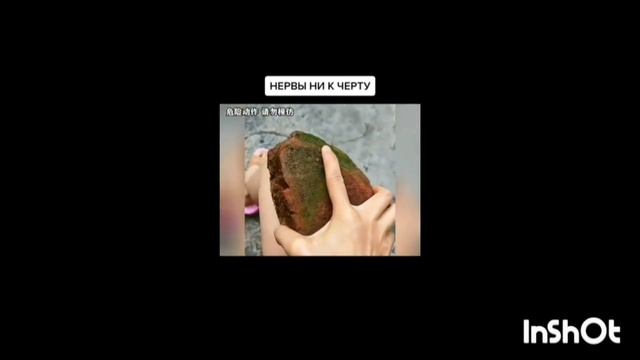 реакция персонажей восхождение в тени на сид Кагено(тень)