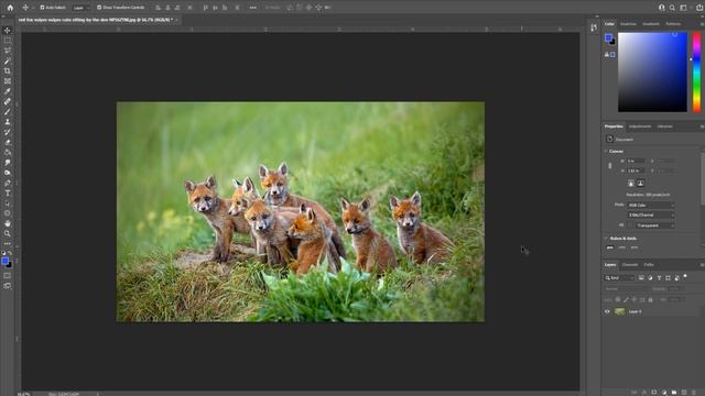 How to Resize an Image in Adobe Photoshop 2021 CC смотреть онлайн