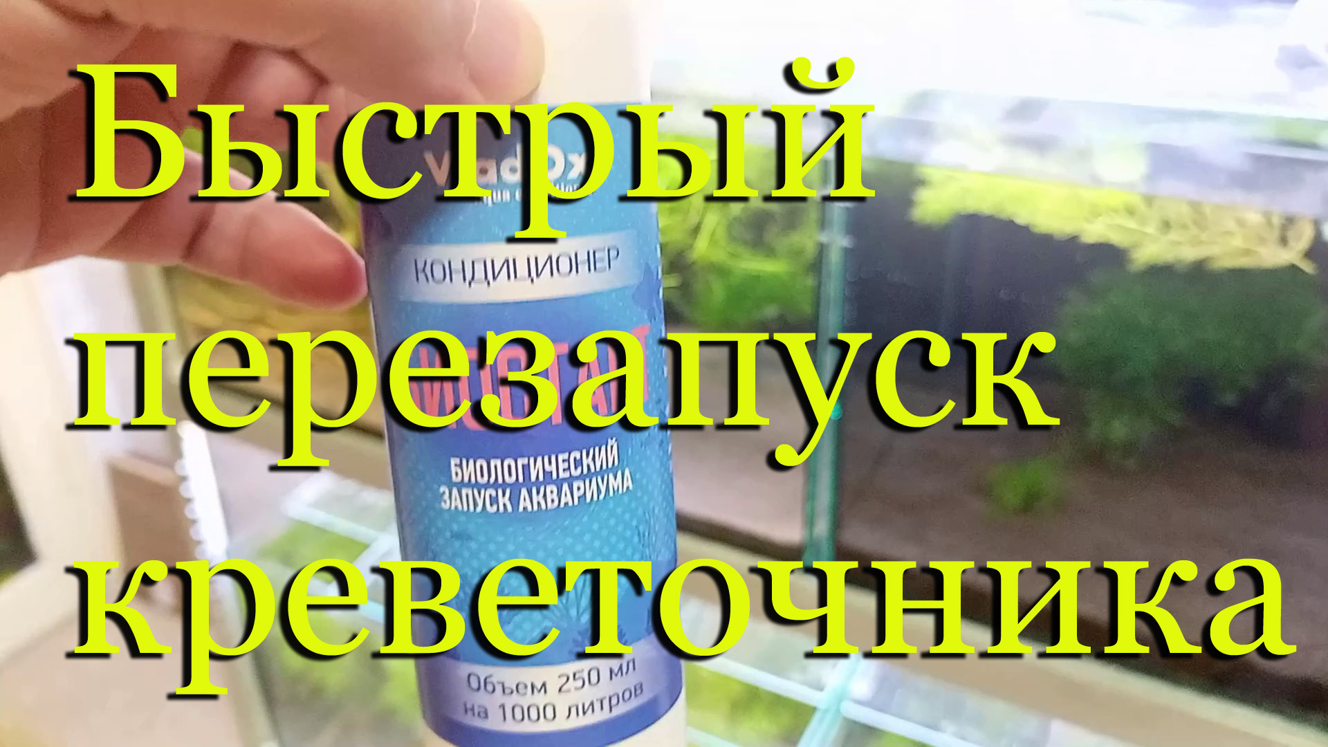 #Быстрый запуск / перезапуск аквариума, креветочника с помощью препарата Vladox Биостарт. смотреть онлайн