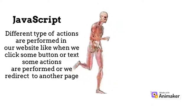 Difference between HTML, CSS and javaScript/HTML, CSS aur javaScript me kya difference hai смотреть онлайн