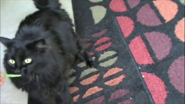 Test Handycam смотреть онлайн