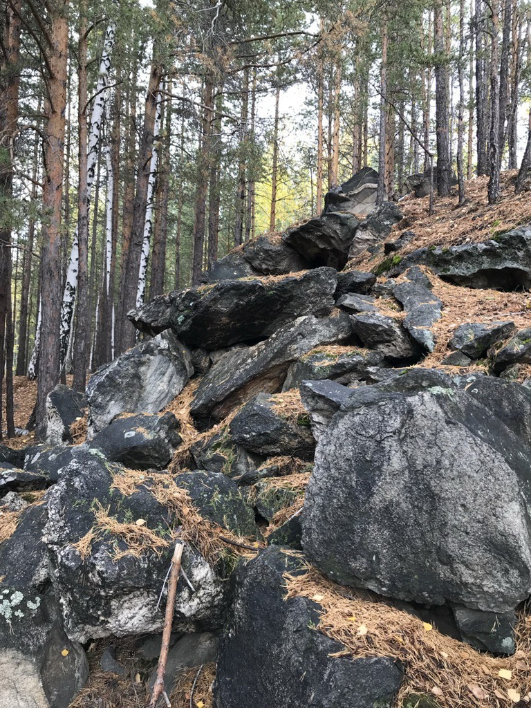 Вечерняя прогулка смотреть онлайн