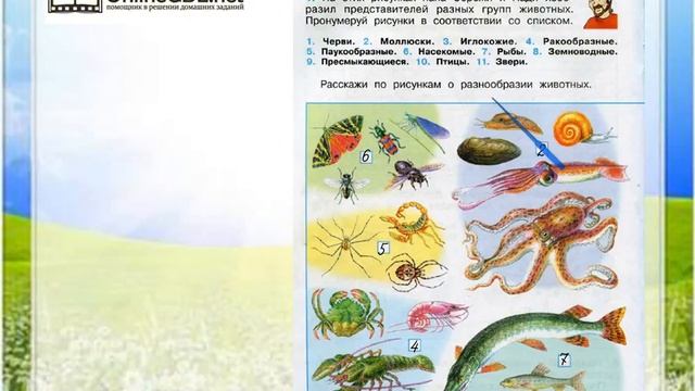 Задание 1 Разнообразие животных - Окружающий мир 3 класс (Плешаков А.А.) 1 часть смотреть онлайн