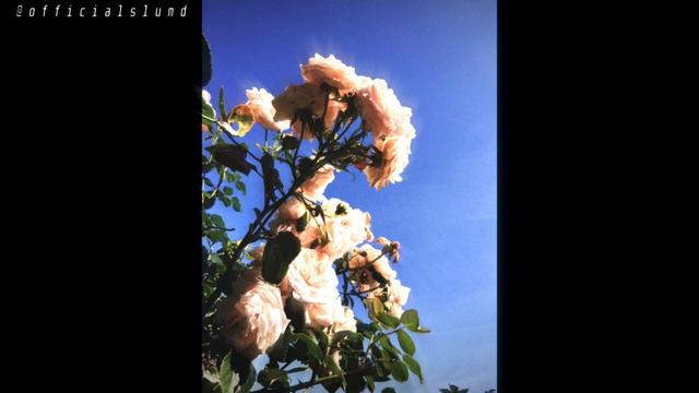[FREE] Indie Rock Type Beat "You're Welcome" Guitar Type Beat (Prod. Slum D) смотреть онлайн