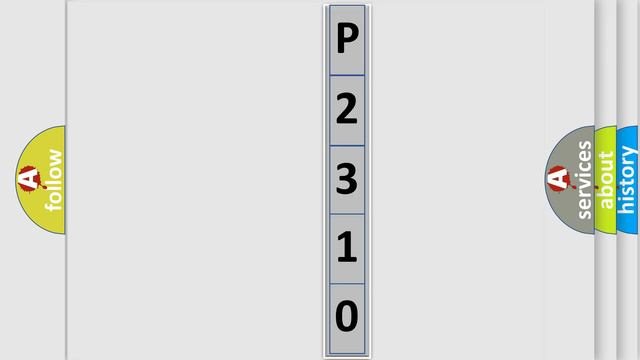 DTC Pontiac P2310 Short Explanation
