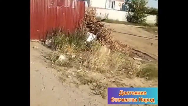 05.08.2020 г. ст.Вешенская мусорный беспредел недоработка или умышленый саботаж？ смотреть онлайн