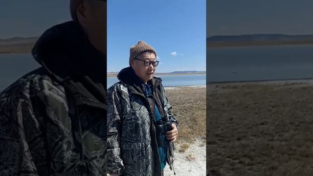 В Боргойский заказник в Бурятии прилетели перелётные птицы смотреть онлайн