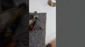 gorenje F03  ошибка в чому причина