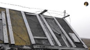 Остров Врангеля. "Замороженный рай"/ The Wrangel Island. Frozen Paradise. / Природа