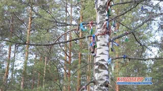 О традиции вешать замок на свадьбе смотреть онлайн