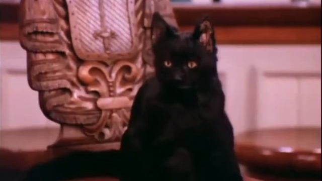 Ведьмочка и её говорящий кот/ Сабрина и Сэлем/ сериал "Сабрина маленькая ведьма". смотреть онлайн