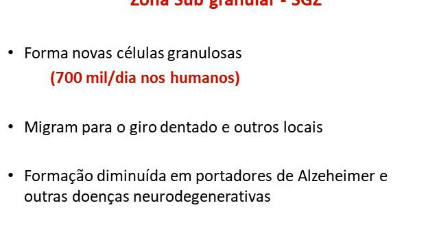 Tecido Nervoso parte 08 nerogênese e gliogênese смотреть онлайн