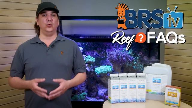 Triton Method Reef Tanks - Eliminating water changes in your saltwater aquarium | Reef FAQs смотреть онлайн