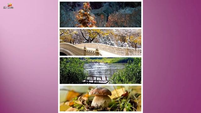 Fotor.Видео: "Коллаж на 4 фото". смотреть онлайн