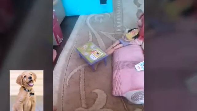 Короче говоря, мне подарили собаку!