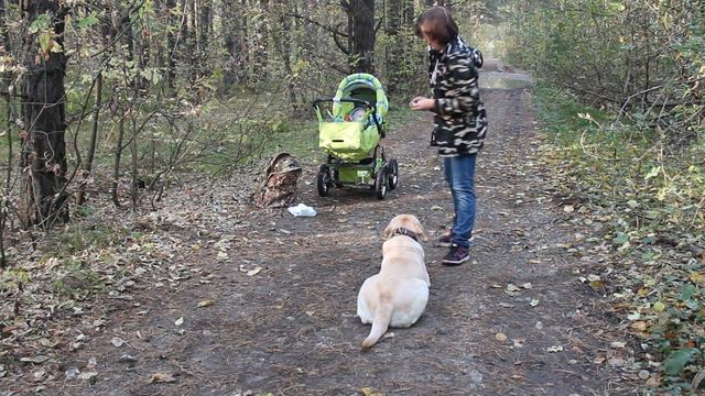 Моя любимая Азулька, 6 лет. Сентябрь 2018 год. смотреть онлайн