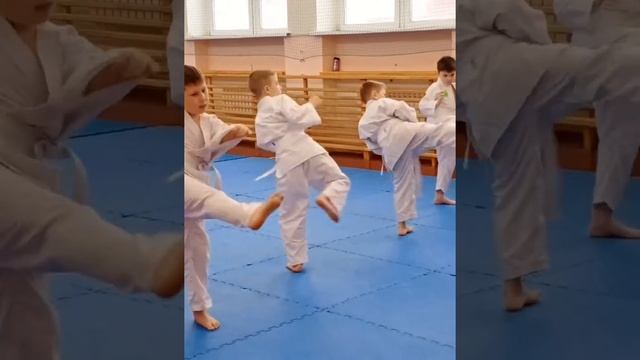 Аттестация на пояс по рукопашке смотреть онлайн