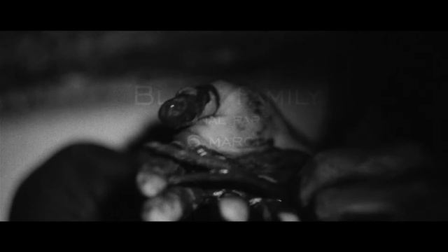 BLACK FAMILY FINAL PART 6 MARCH BAR FENIX смотреть онлайн