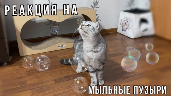 Йети против мыльных пузырей