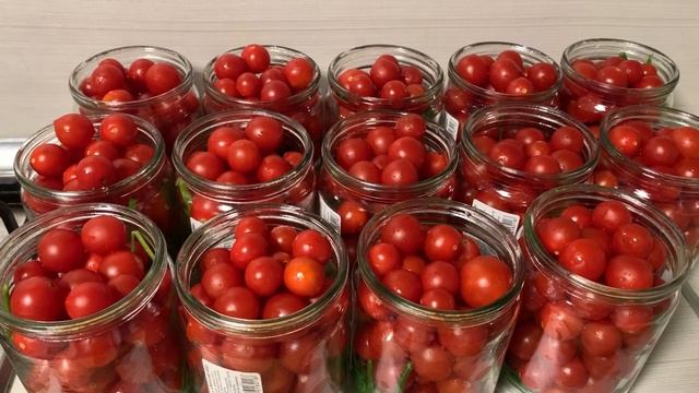 Дизайн и Разработка Веб-сайтов