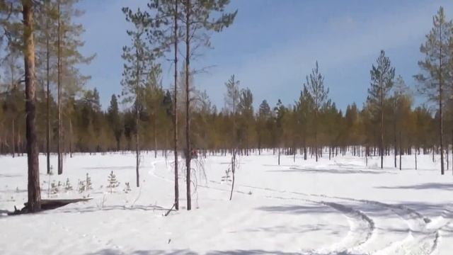 на квадрике по насту смотреть онлайн