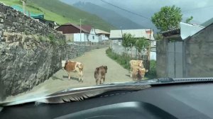 Тляратинский район с.Кутлаб