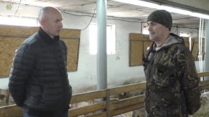 Опыт разведения, содержания и кормления молочных овец породы лакон