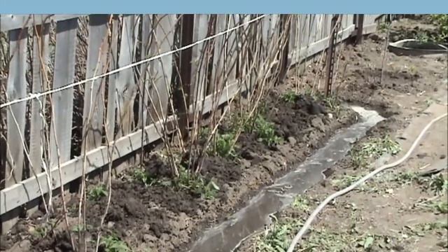 ПОБЕГ ИЗ ГОРОДА НА ДАЧУ/ПЕРВАЯ НОЧЁВКА смотреть онлайн