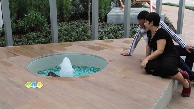 WPB Art in Public Places: New CityZEN Garden смотреть онлайн