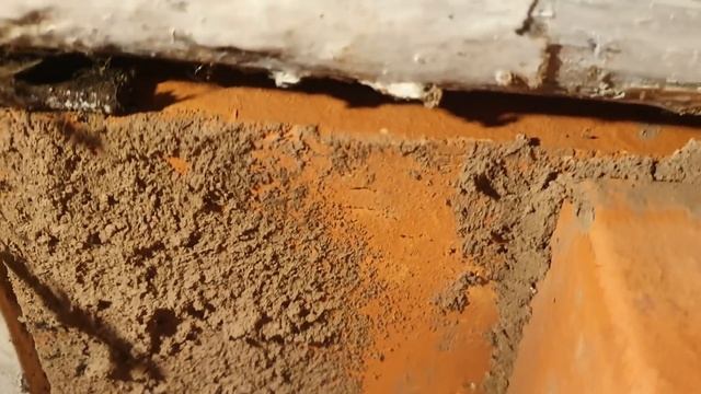 Черничный хутор меня не научил смотреть онлайн