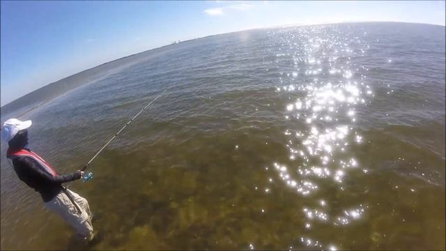 Kayak Fishing in Yankeetown Florida Mullet Point with Kayak Chris смотреть онлайн