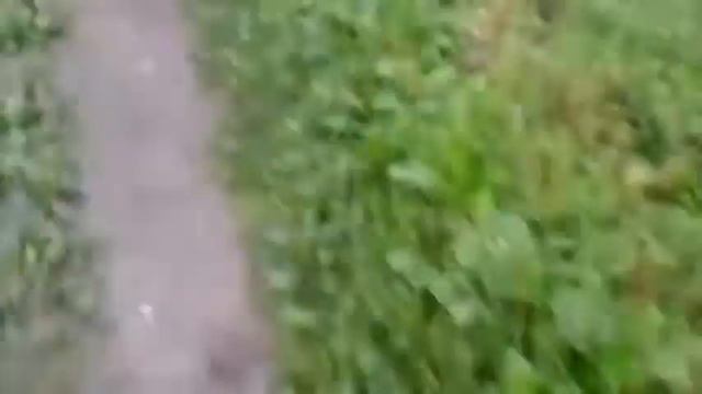21 07 14 Дзержинск Горловка Идет бой смотреть онлайн