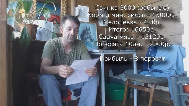 ВЫГОДНО ЛИ СВИНОВОДСТВО? смотреть онлайн