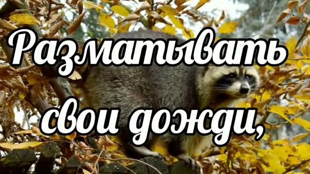 Лови тёплые осенние денёчки! Открытка смотреть онлайн